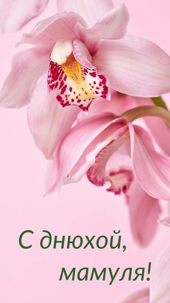 С днюхой, мамуля!