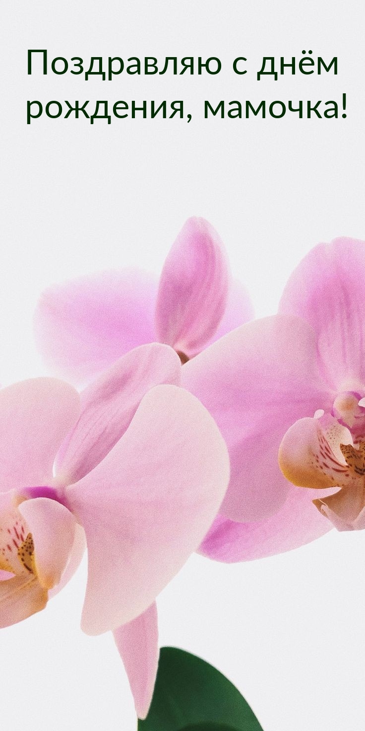 Поздравляю с днём рождения, мамочка! 