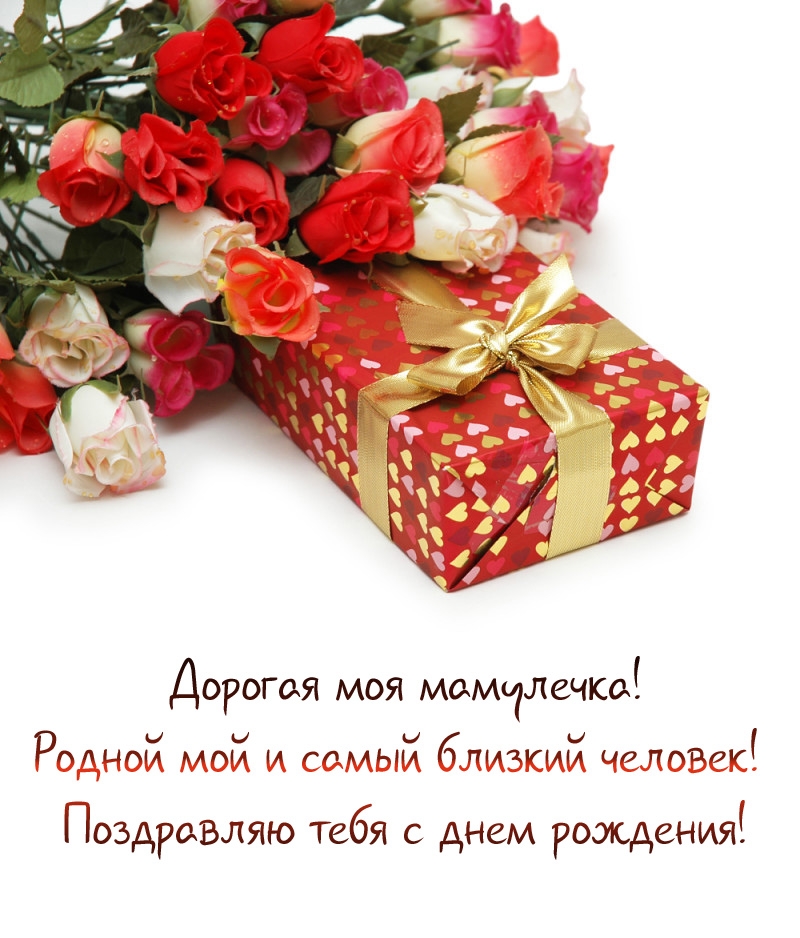 Дорогая моя мамулечка! Родной мой и самый близкий человек! 