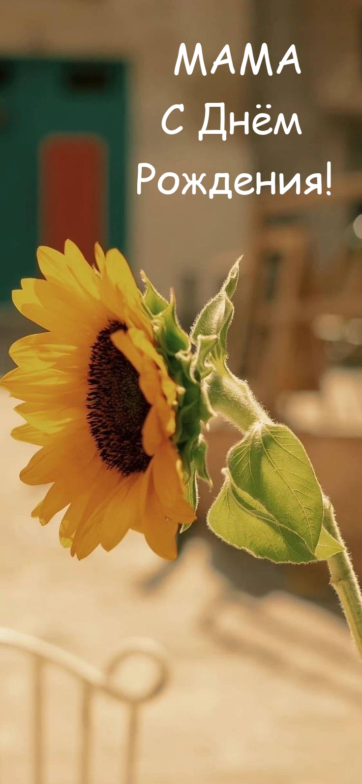 Мама с Днём Рождения!
