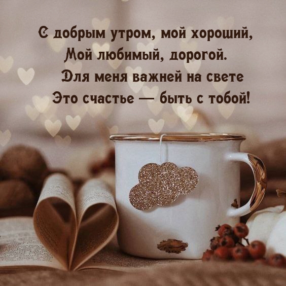 С добрым утром, мой хороший, мой любимый, дорогой.