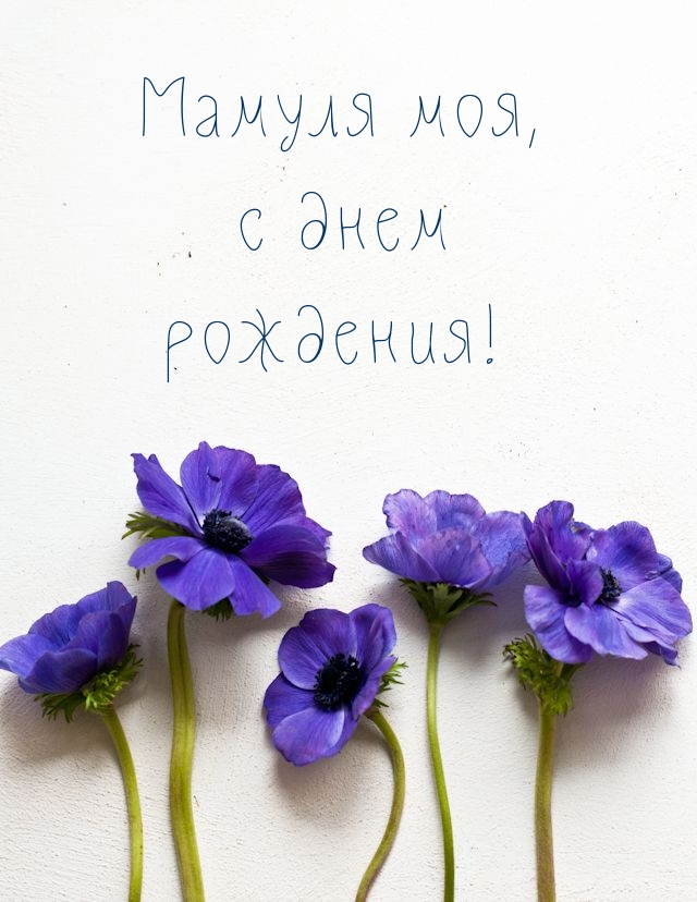 Мамуля моя, с днем рождения!