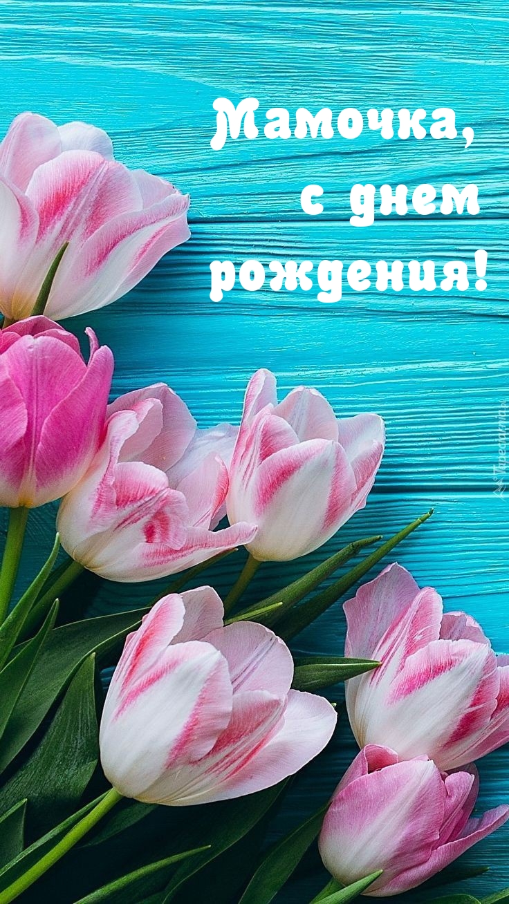 Мамочка, с днем рождения!
