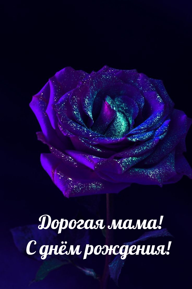 Дорогая мама! С днём рождения!