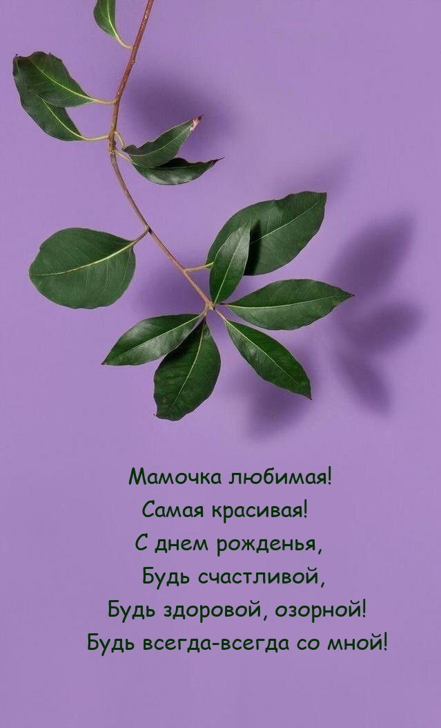 Мамочка любимая! Самая красивая! С днем рожденья