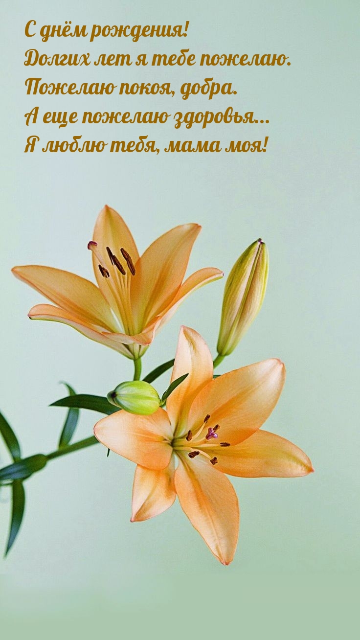 С днём рождения! Долгих лет я тебе пожелаю.