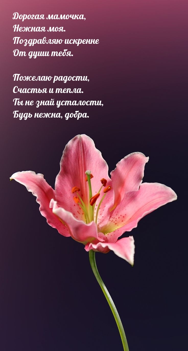 Дорогая мамочка, нежная моя. Поздравляю искренне