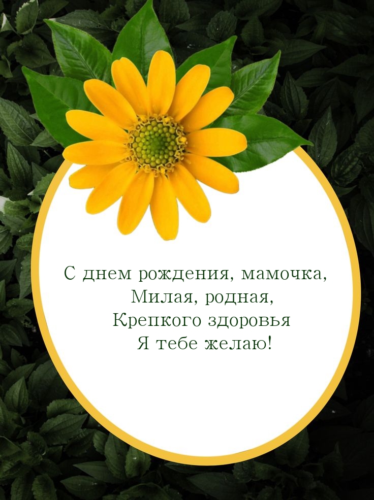 С днем рождения, мамочка, милая, родная
