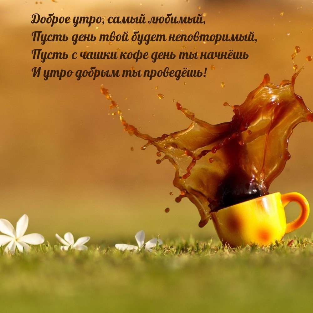 Доброе утро, самый любимый, пусть день твой будет неповторимый