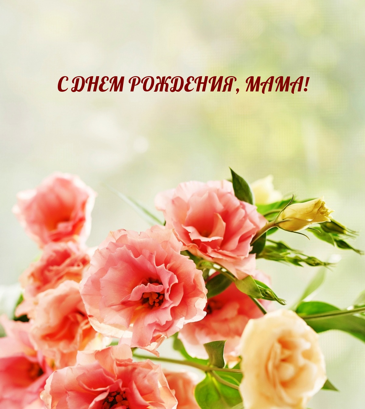 С днем рождения, мама!