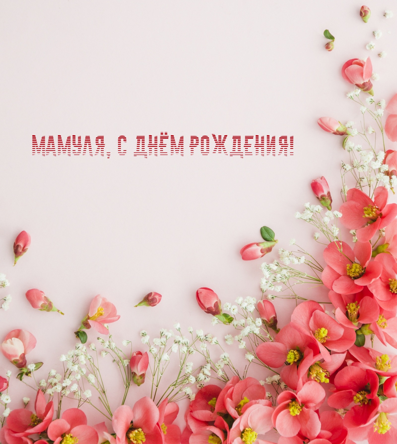 Мамуля, с днём рождения!