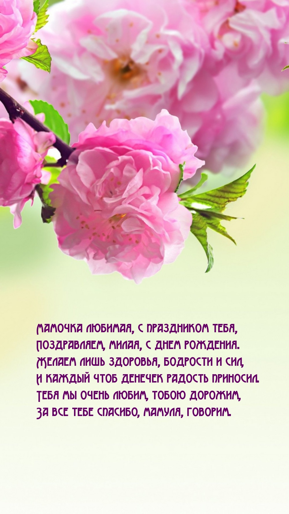 Мамочка любимая, с праздником тебя, милая, с днем рождения.