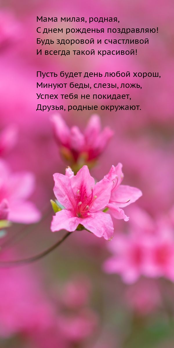 Мама милая, родная, с днем рожденья поздравляю!