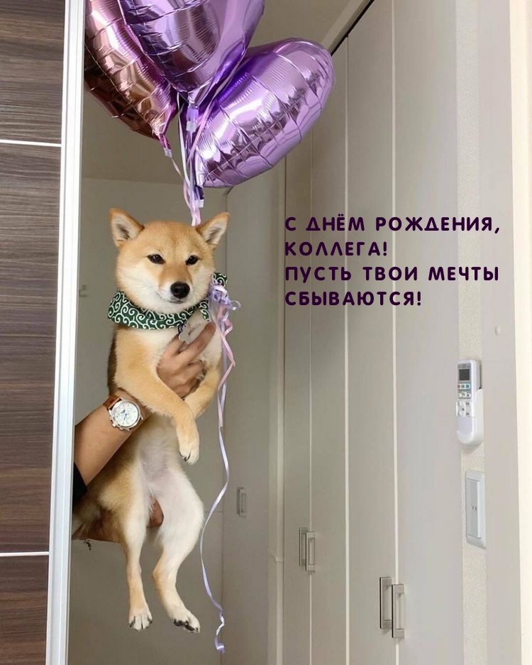 С днём рождения, коллега! Пусть твои мечты сбываются!