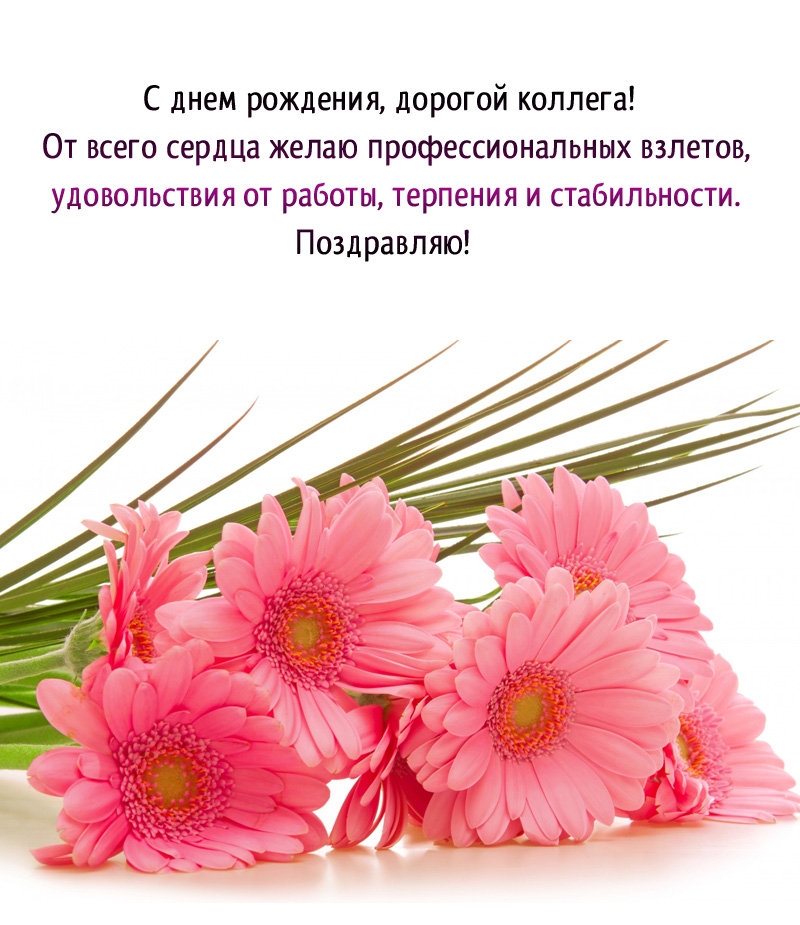 С днем рождения, дорогой коллега! Профессиональных взлетов