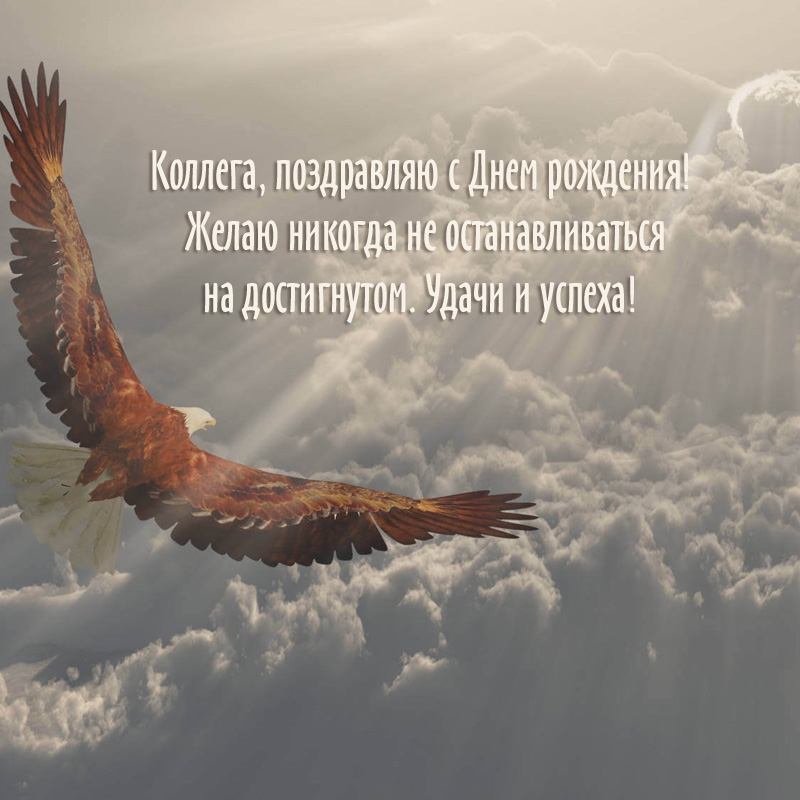 Коллега, поздравляю с Днем рождения! Удачи и успеха!