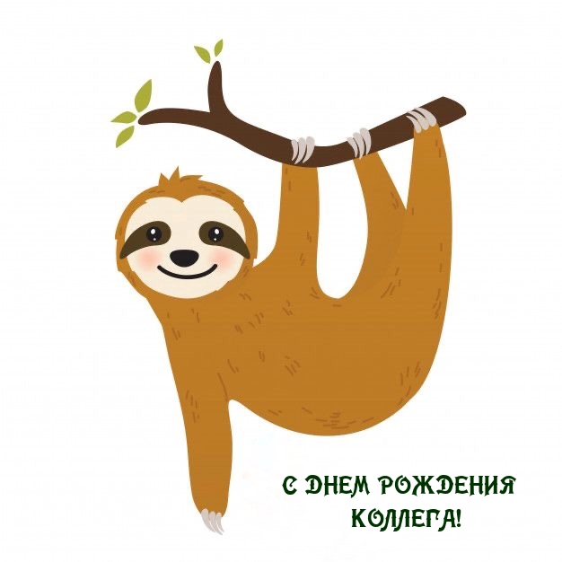 С днем рождения коллега!