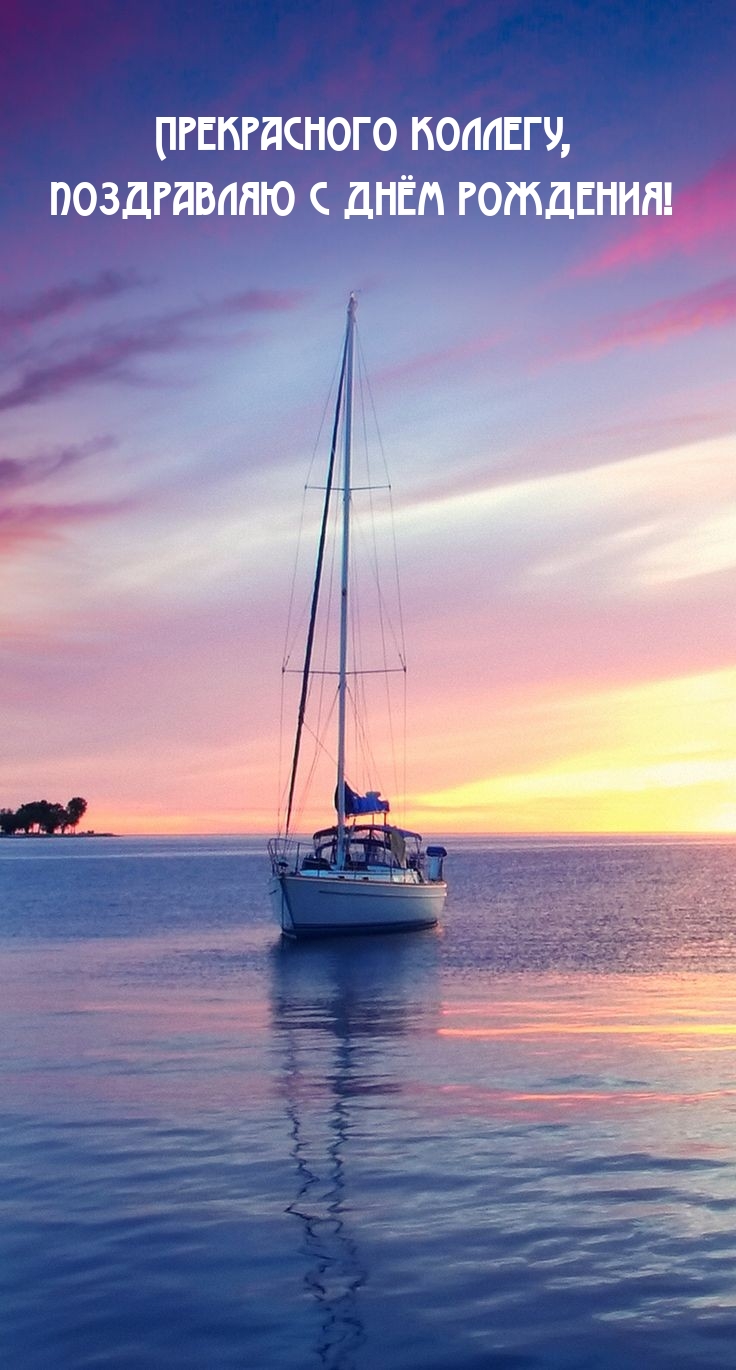 Прекрасного коллегу, поздравляю с днём рождения! 