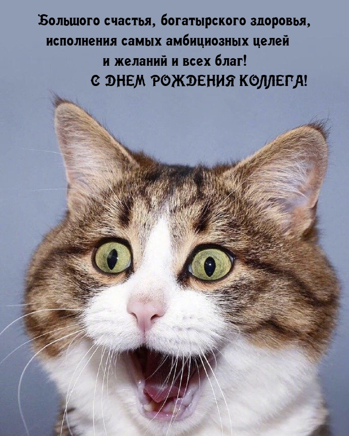 С днем рождения коллега! Большого счастья