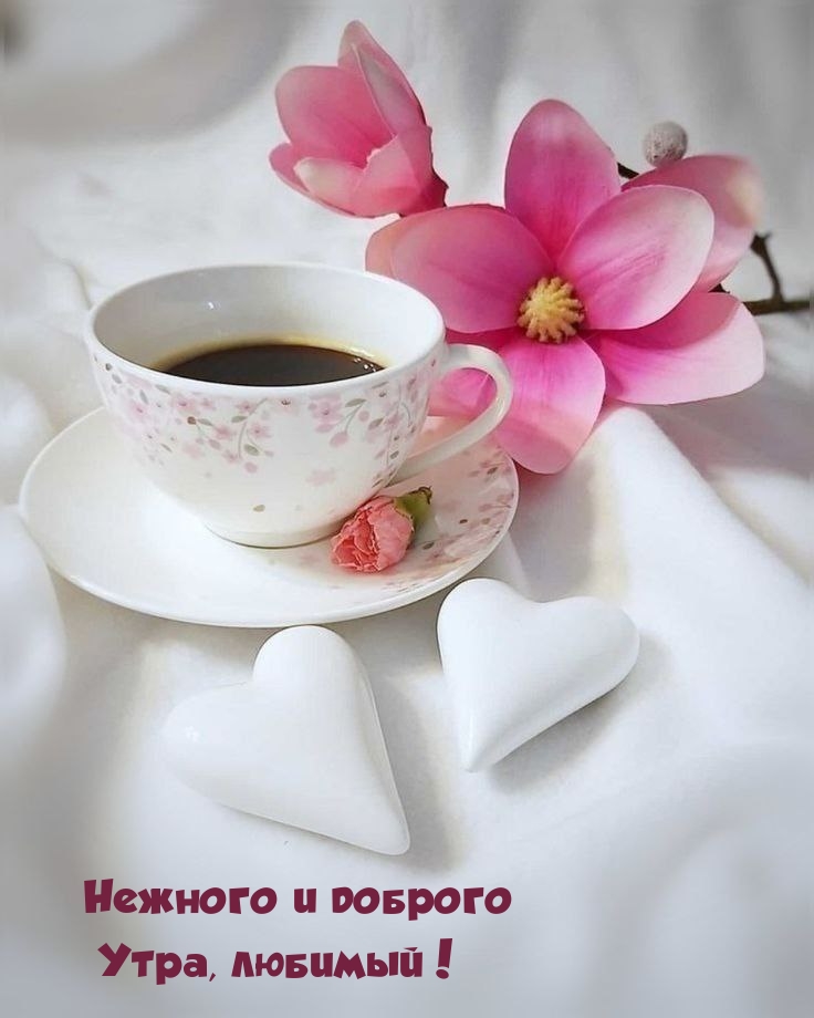 Нежного и доброго Утра, любимый!