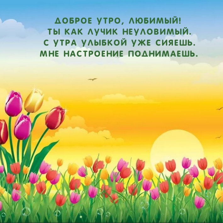 Доброе утро, любимый! Ты как лучик неуловимый.