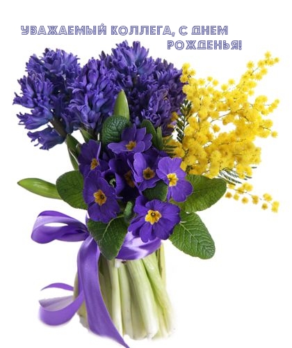Уважаемый коллега, с днем рожденья!