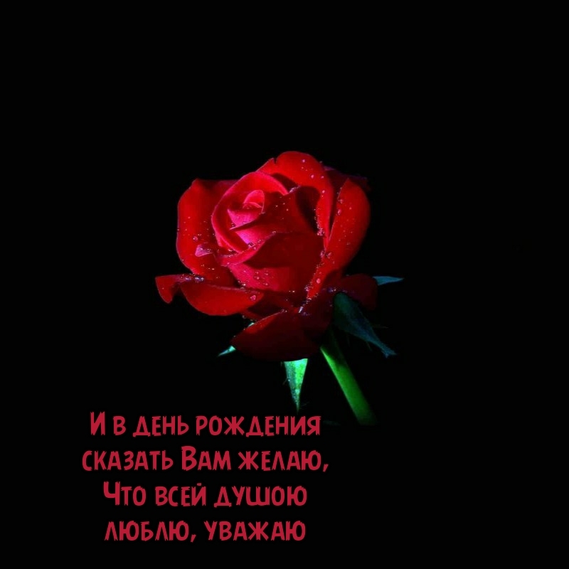 И в день рождения сказать Вам желаю, что всей душою люблю