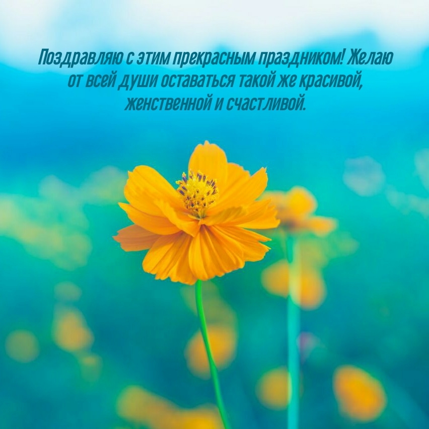 Поздравляю с этим прекрасным праздником!
