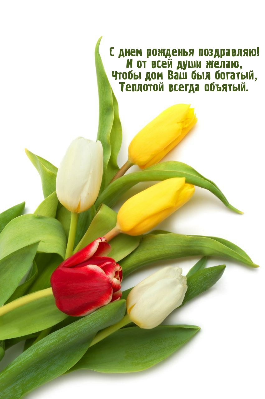 С днем рожденья поздравляю! Чтобы дом Ваш был богатый