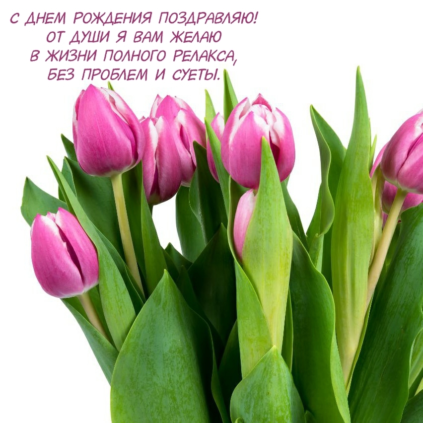 С днем рождения! От души я Вам желаю в жизни полного релакса