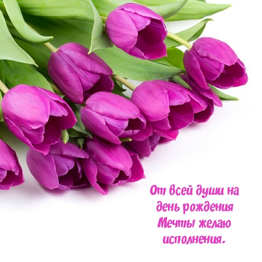 От всей души на день рождения Мечты желаю исполнения.
