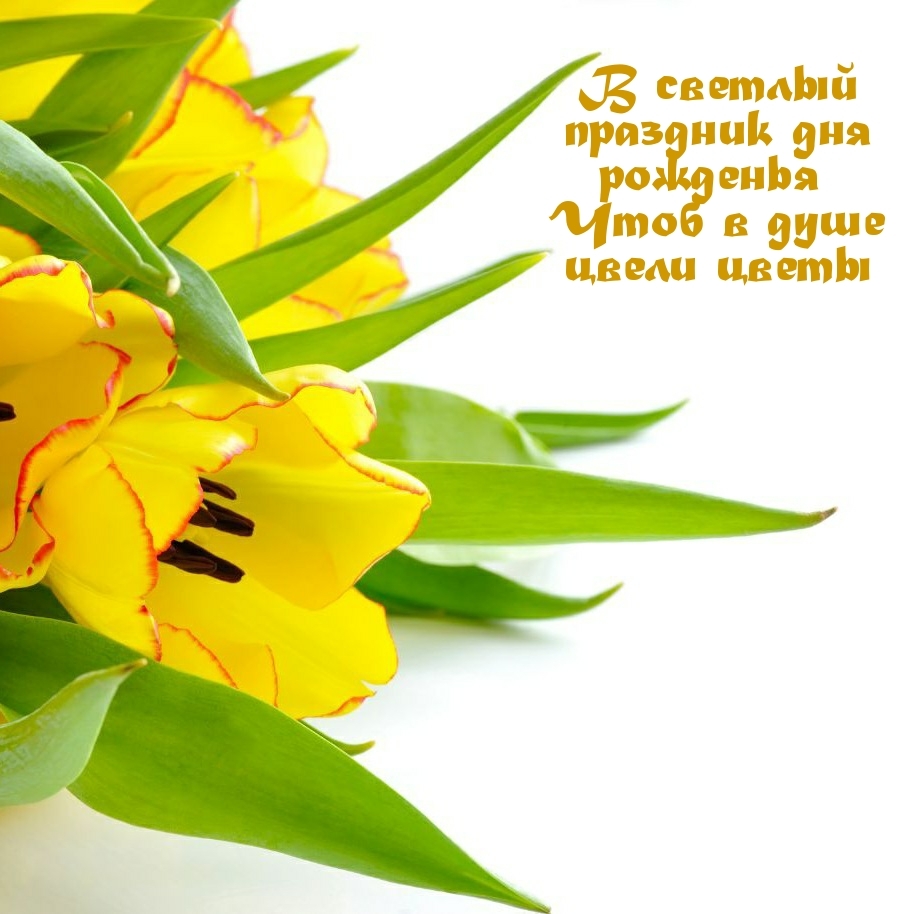 В светлый праздник дня рожденья чтоб в душе цвели цветы