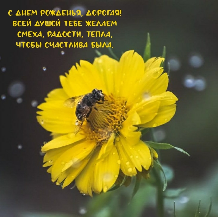 С днем рожденья, дорогая! Чтобы счастлива была.