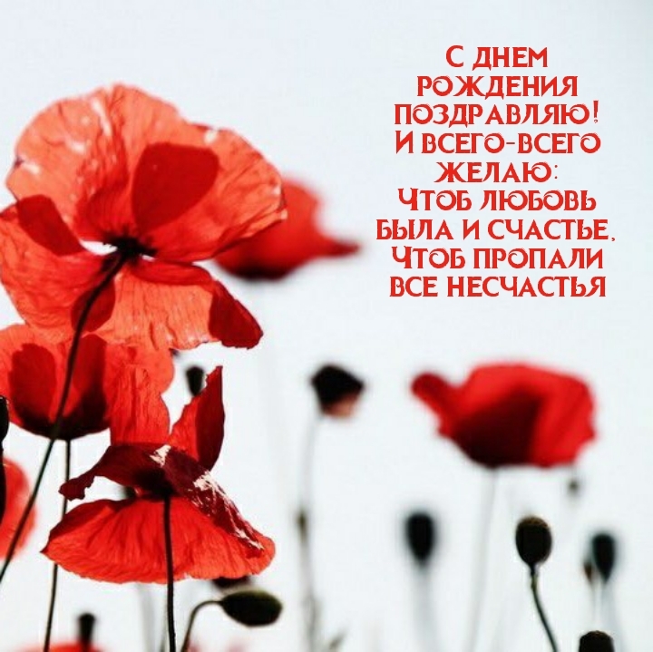 С днем рождения поздравляю! Чтоб пропали все несчастья