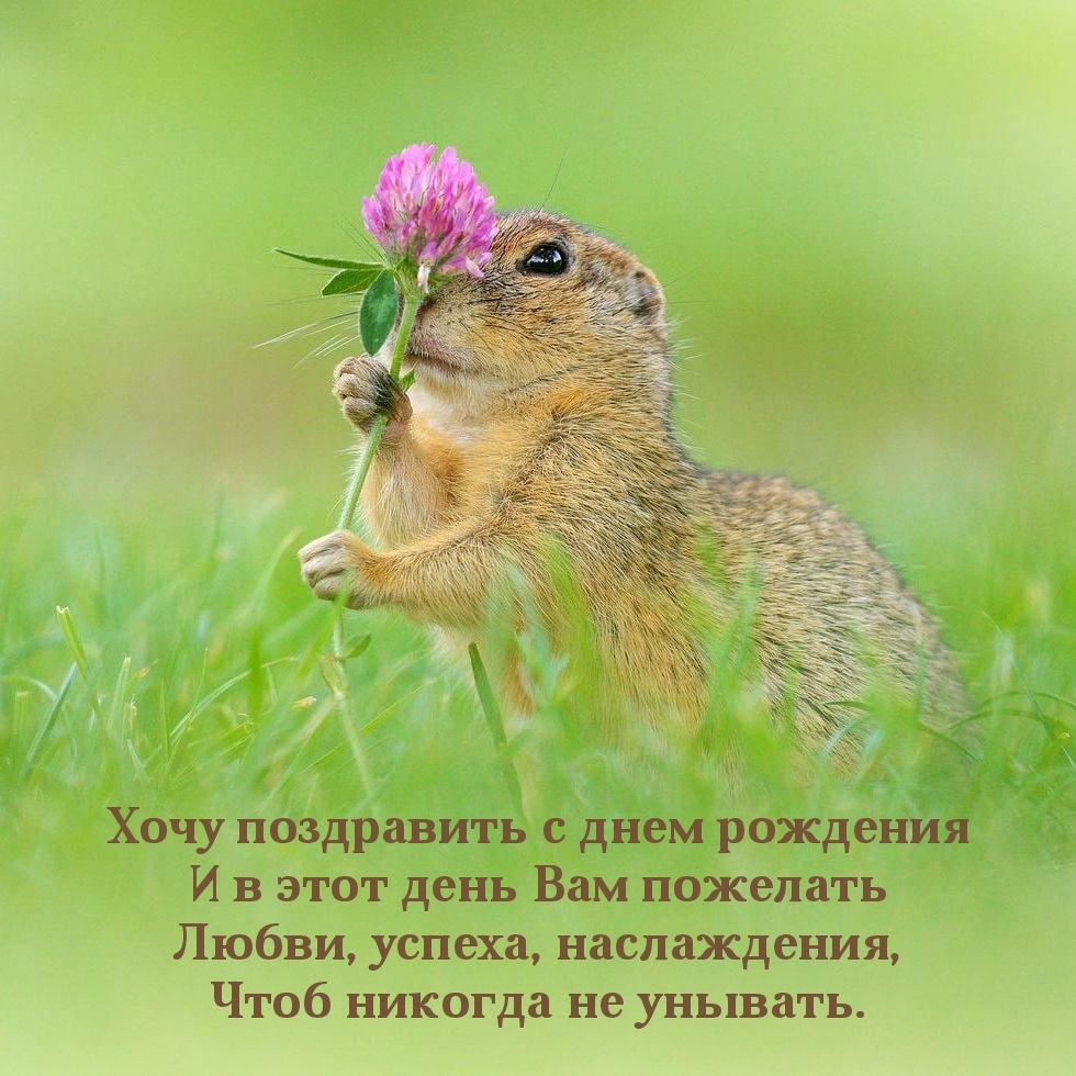 Любви, успеха, наслаждения С днем рождения