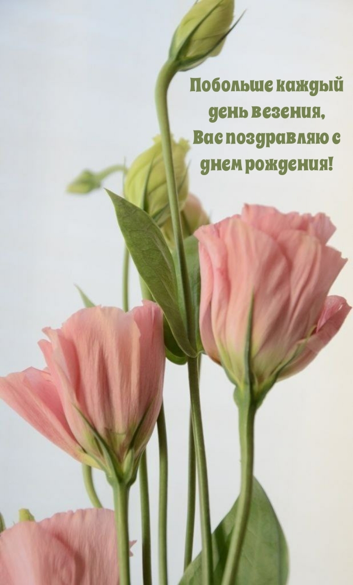 Побольше каждый день везения, Вас поздравляю с днем рождения!