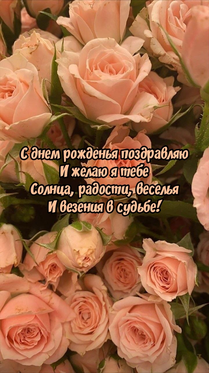С днем рожденья поздравляю Солнца, радости, веселья