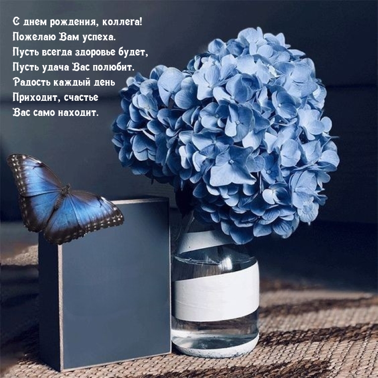 С днем рождения, коллега! Пожелаю Вам успеха.