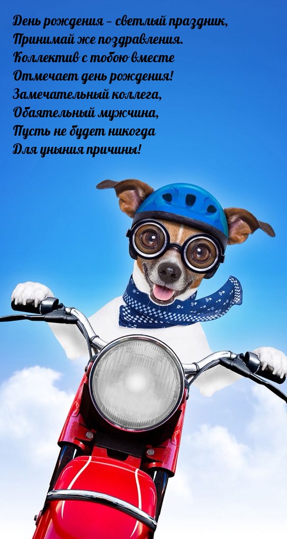 День рождения — светлый праздник, Принимай же поздравления.