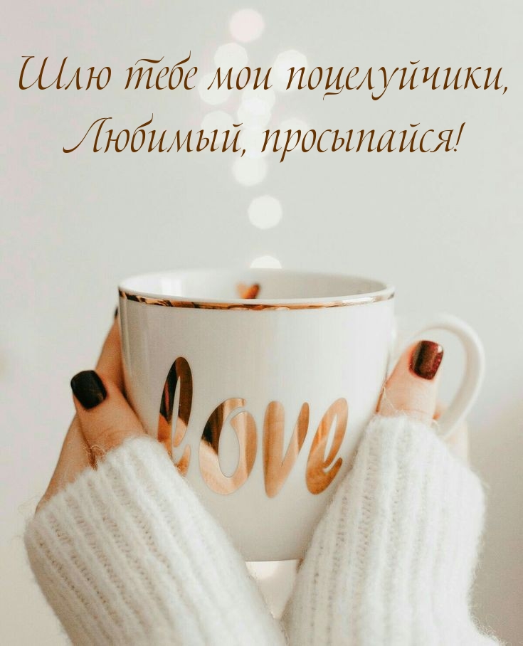 Шлю тебе мои поцелуйчики, любимый, просыпайся! 