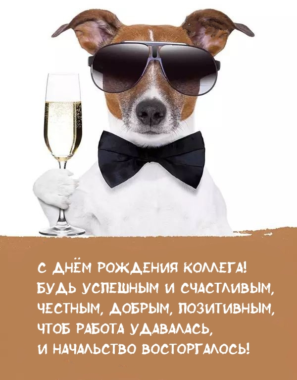 С днём рождения коллега! Будь успешным и счастливым