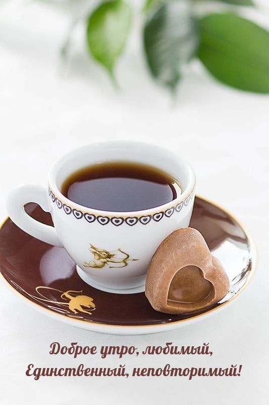 Доброе утро, любимый, единственный, неповторимый!