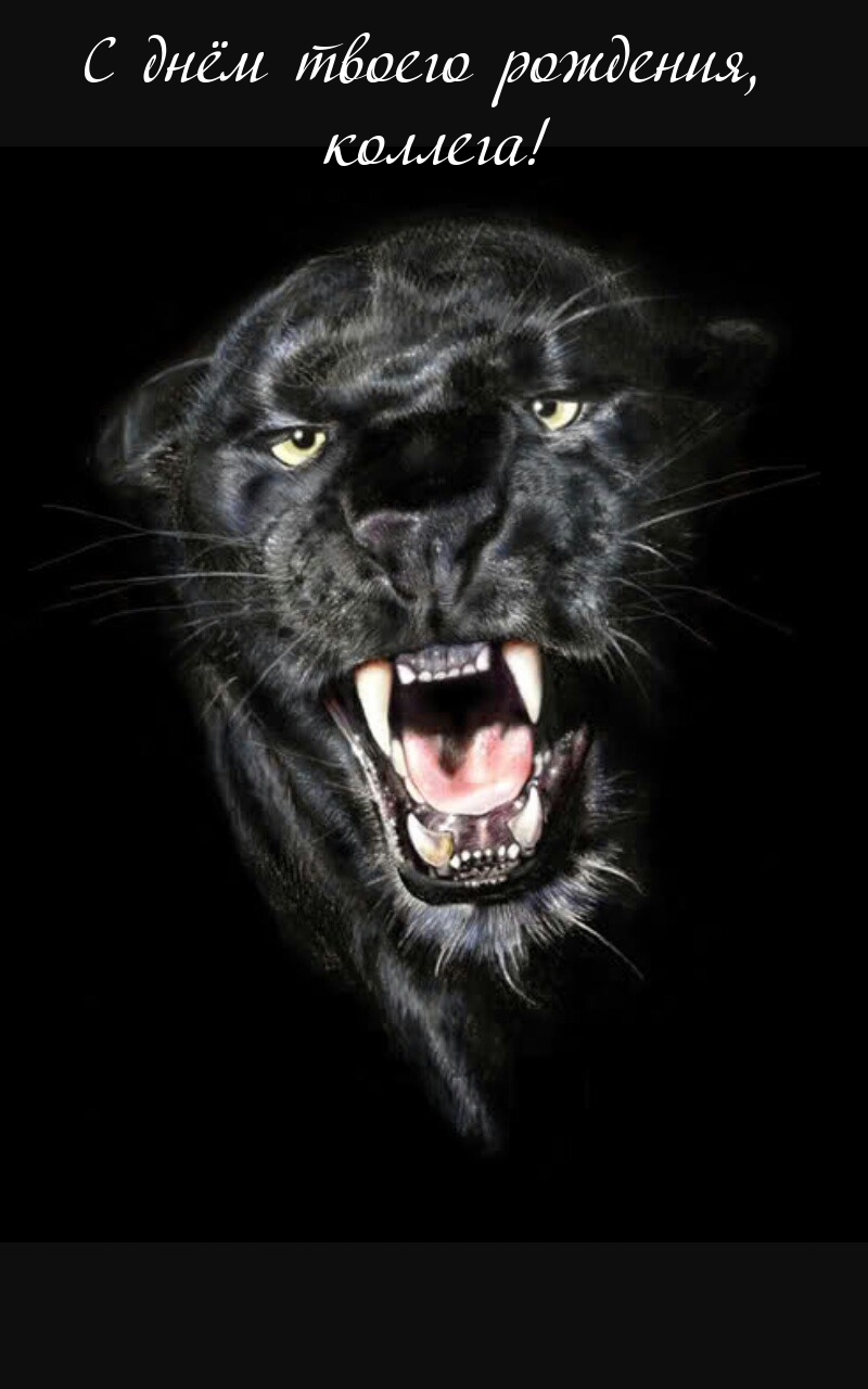 С днём твоего рождения коллега! 