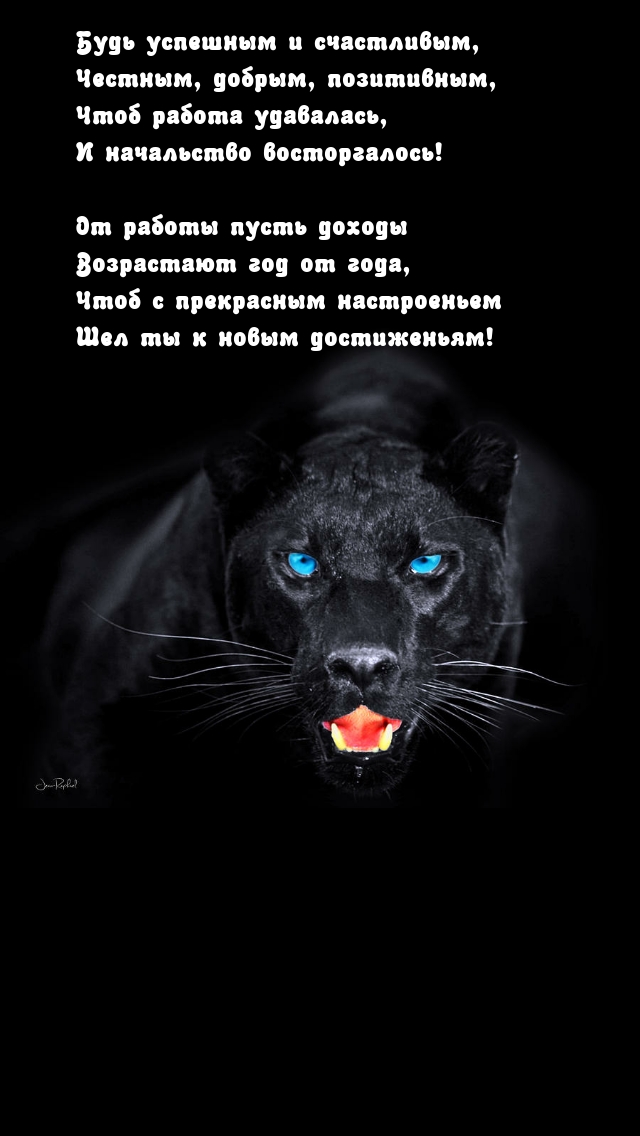 Будь успешным и счастливым, честным, добрым, позитивным
