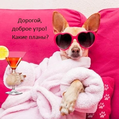 Дорогой, доброе утро! Какие планы?