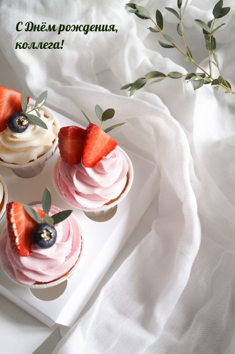 С Днём рождения, коллега!