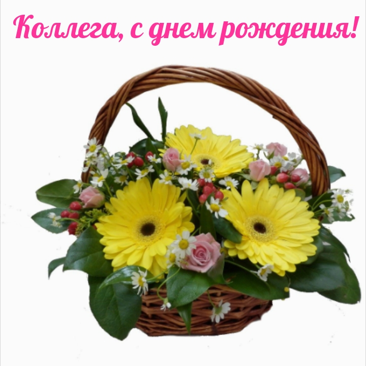 Коллега, с днем рождения!