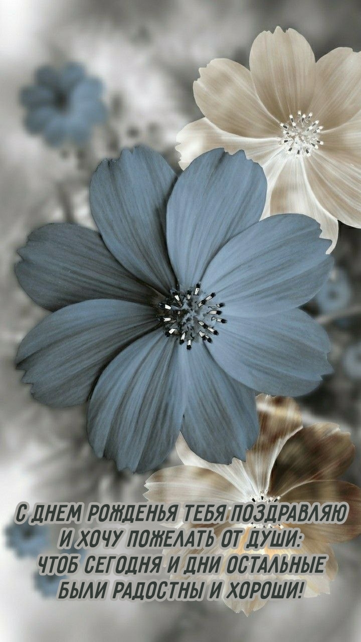 Чтоб сегодня и дни остальные были радостны и хороши!