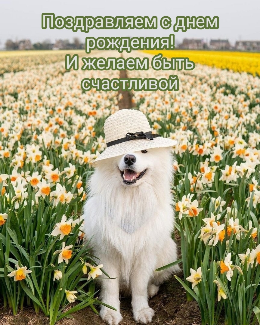 Поздравляем с днем рождения! И желаем быть счастливой