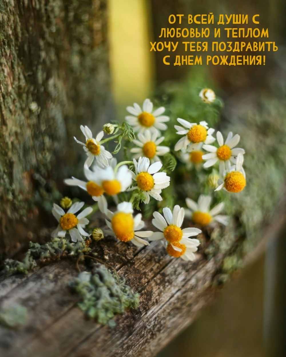 Хочу тебя поздравить с днем рождения!